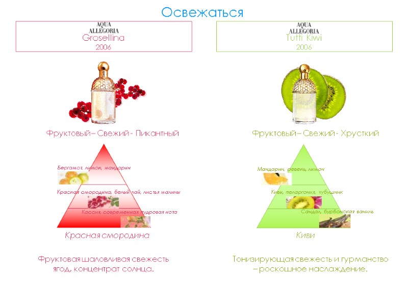 Фруктовая шаловливая свежесть ягод, концентрат солнца. Фруктовый – Свежий - Хрусткий Тонизирующая свежесть и